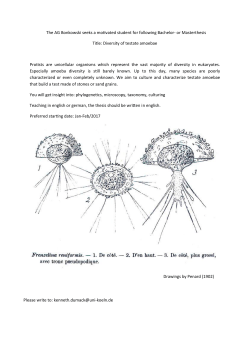 Diversity of testate amoebae
