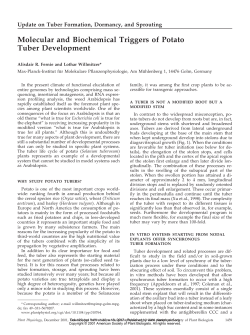 Molecular and Biochemical Triggers of Potato