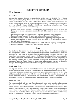 Investigation report Bray Park Fireworks Tragedy 20 May 2000