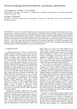 Electron exchange between ferredoxin, cytochrome, and hematite