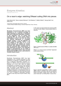 On a razor`s edge: watching DNaseI cutting DNA into pieces