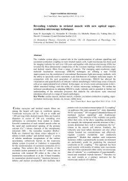 Revealing t-tubules in striated muscle with new optical super