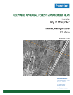 Forest Management Plan