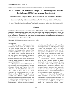 SEM studies on immature stages of Aphaenogaster beesoni