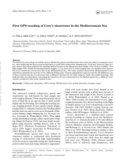First GPS-tracking of Cory`s shearwater in the Mediterranean Sea