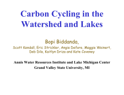 Carbon Cycling in the Watershed and Lakes