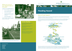 Flooding Hazard - Greater Wellington Regional Council