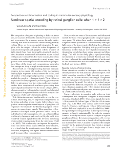 Nonlinear spatial encoding by retinal ganglion cells: when 1 + 1 &ne; 2