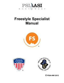 the FS Guide