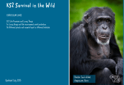 KS2 Survival in the Wild