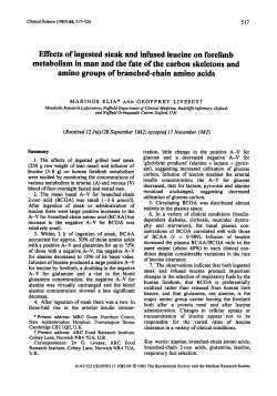 Effects of Ingested Steak and Infused Leucine on