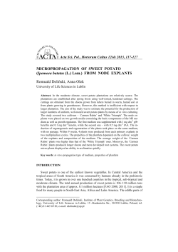 MICROPROPAGATION OF SWEET POTATO