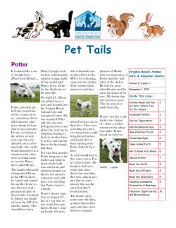 Pet Tails - City of Virginia Beach