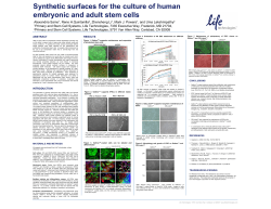 Synthetic surfaces for the culture of human embryonic and adult