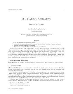 3.2 Carbohydrates