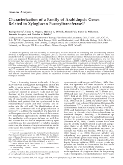 Characterization of a Family of Arabidopsis Genes