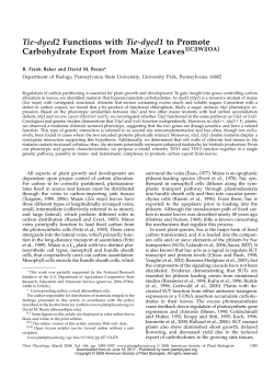 Tie-dyed2 Functions with Tie-dyed1