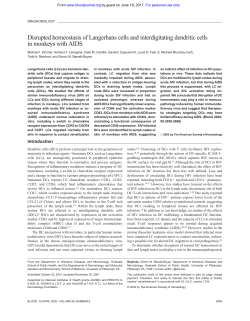 Disrupted homeostasis of Langerhans cells and interdigitating