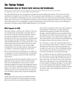 The Morlan Method