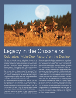 Legacy in the Crosshairs: Colorado`s `Mule