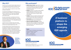 A business platform to shape the emerging G20 agenda