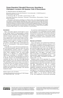 Energy-Dependent Chlorophyll Fluorescence Quenching in