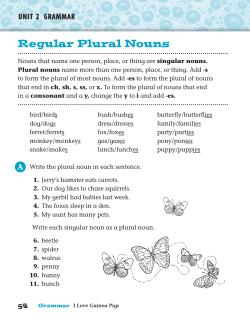 Grammar Handbook Online
