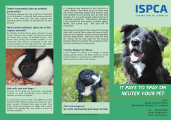 it pays to spay or neuter your pet