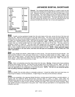 Japanese Bobtail Shorthair Breed Standard