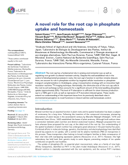 A novel role for the root cap in phosphate uptake and homeostasis