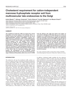 Cholesterol role in CI-MPR exit from MVB