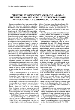 PREDATION BY MISUMENOPS ASPERATUS (ARANEAE