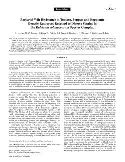 Bacterial Wilt Resistance in Tomato, Pepper, and Eggplant: Genetic