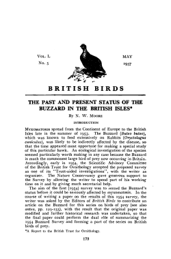 1 - British Birds