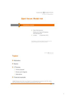 Open forum: Model risk