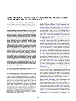 odor response properties of neighboring mitral/tufted cells in the rat