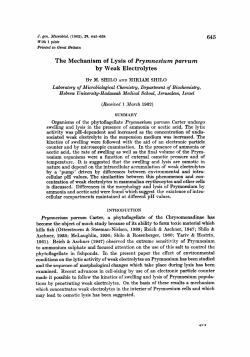 The Mechanism of Lysis of Prymnesiurn parvum by