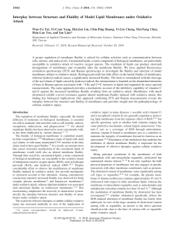 Interplay between Structure and Fluidity of Model Lipid Membranes