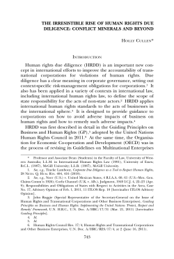 THE IRRESISTIBLE RISE OF HUMAN RIGHTS DUE DILIGENCE