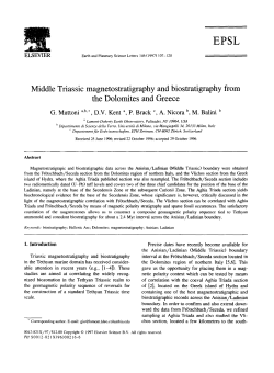 Middle Triassic magnetostratigraphy and biostratigraphy the