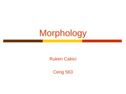 Morphology - COW :: Ceng