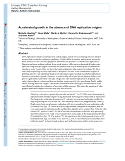 Accelerated growth in the absence of DNA replication origins