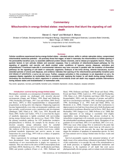Mitochondria in energy-limited states: mechanisms that blunt the