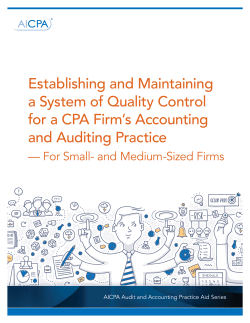 Practice Aid for Small- and Medium-Sized Firms