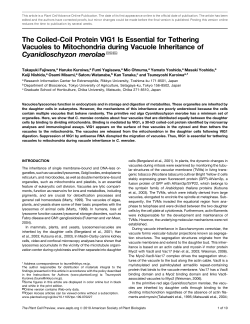 The Coiled-Coil Protein VIG1 Is Essential for Tethering Vacuoles to