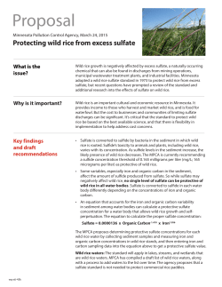 MPCA draft proposal to protect wild rice from excess sulfate