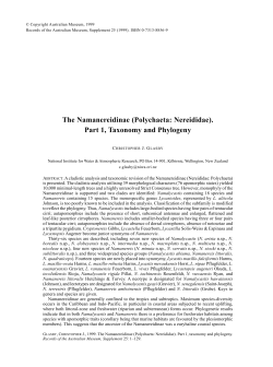 The Namanereidinae (Polychaeta: Nereididae).