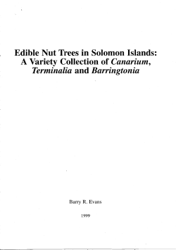 Edible Nut Trees in Solomon Islands