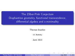 The Zilber-Pink Conjecture Diophantine geometry, functional