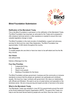 Blind Foundation